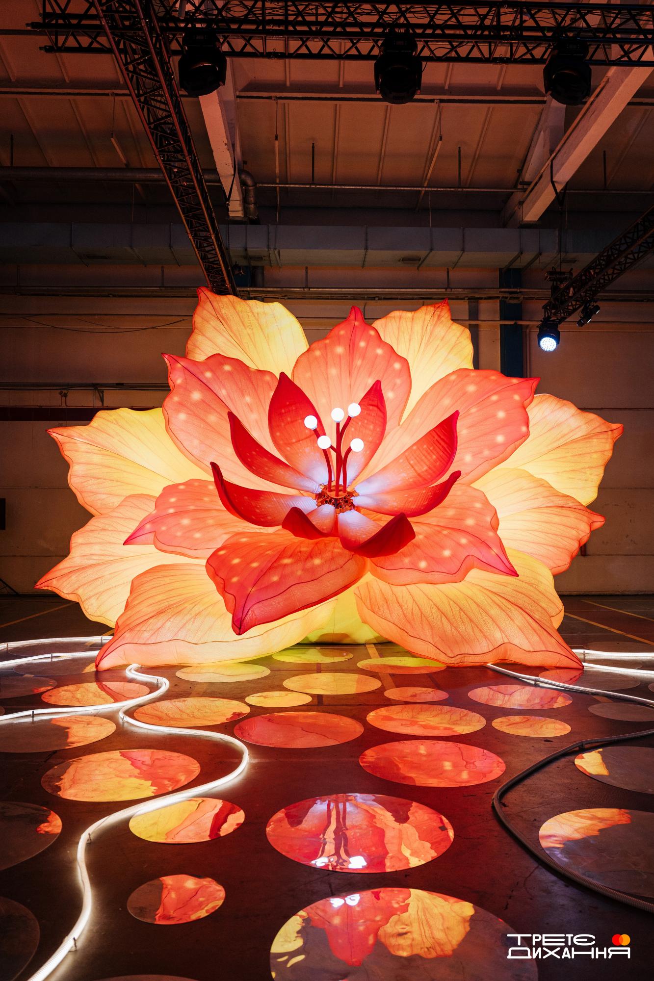 "Третье дыхание" - выставка, покорившая киевлян. Мы побывали на открытии и рассказываем, чем она особенная